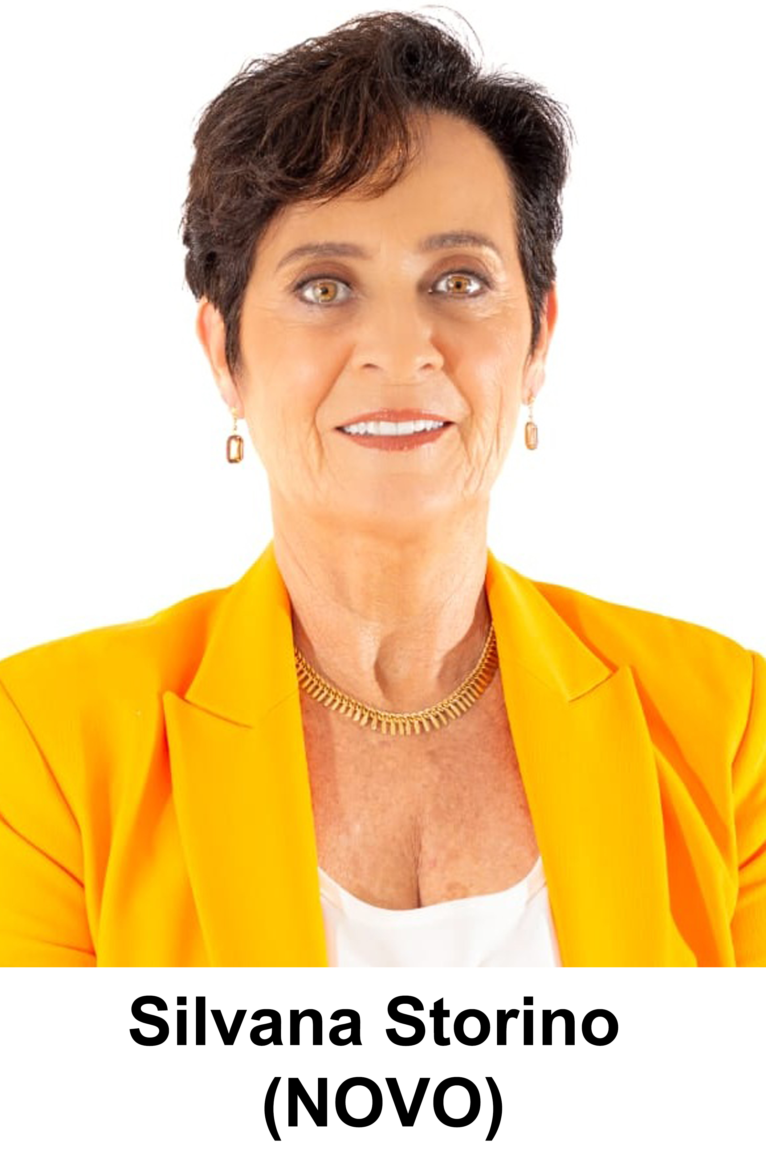 Vereadora Silvana Storino