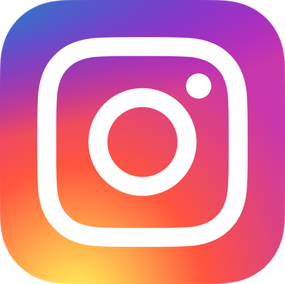 Icone Instagram 2