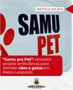 “Samu pra Pet”: vereador propõe ambulância para atender cães e gatos em Pedro Leopoldo