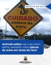 Animais soltos nas ruas viram alerta: vereador cobra placas de aviso em áreas de risco
