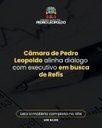 Câmara de Pedro Leopoldo alinha diálogo com Executivo em busca de Refis