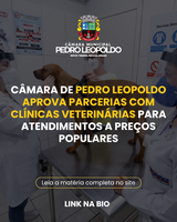 Câmara de Pedro Leopoldo aprova parcerias com clínicas veterinárias para atendimentos a preços populares