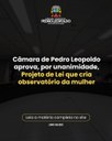 Câmara de Pedro Leopoldo aprova, por unanimidade, Projeto de Lei que cria observatório da mulher