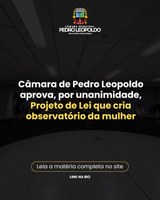 Câmara de Pedro Leopoldo aprova, por unanimidade, Projeto de Lei que cria observatório da mulher