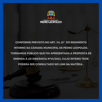 CMPL torna pública proposta de emenda à Lei Orgânica nº01/2022