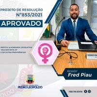  Projeto de Resolução "Mulher Nota 10" é aprovado na CMPL