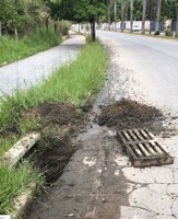 Fred Piau pede soluções urgentes na Avenida Rômulo Joviano