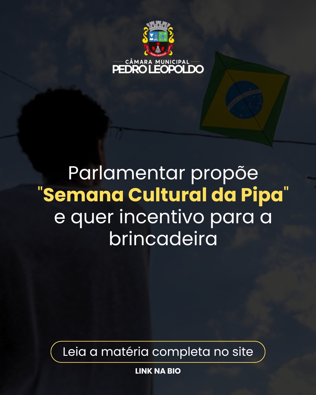 Parlamentar propõe "Semana Cultural da Pipa" e quer incentivo para a brincadeira