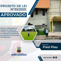 Projeto de adoção de campos de futebol é aprovado na CMPL