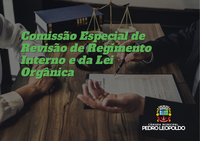 Revisão de Regimento Interno e da Lei Orgânica acontecerá na CMPL