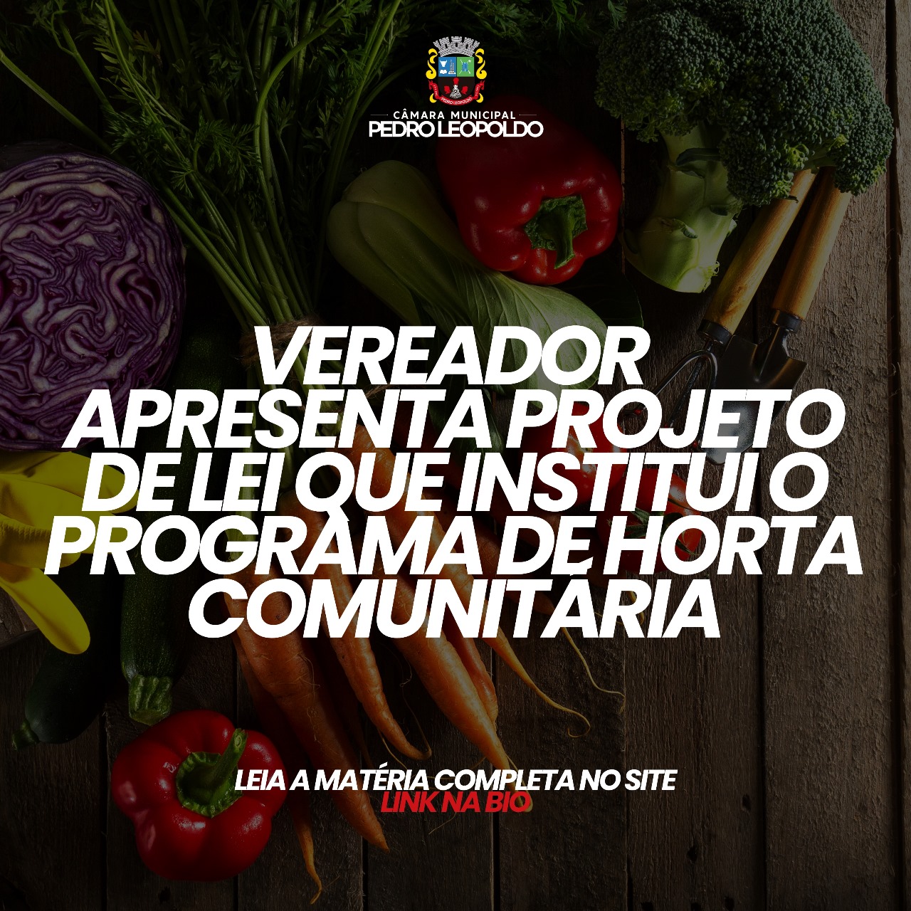 Vereador apresenta Projeto de Lei que institui programa de horta comunitária